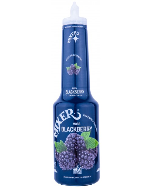 Mixer Blackberry 100 Concentrat Piure Fructe 1L Altele Sirop FineStore